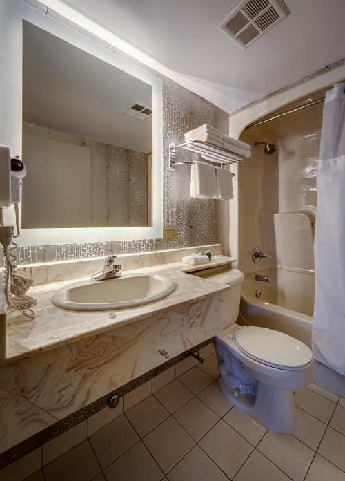 Monte Carlo Inn Markham image 1