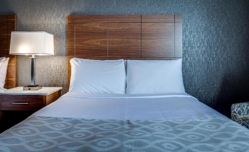 Monte Carlo Inn Markham image 30